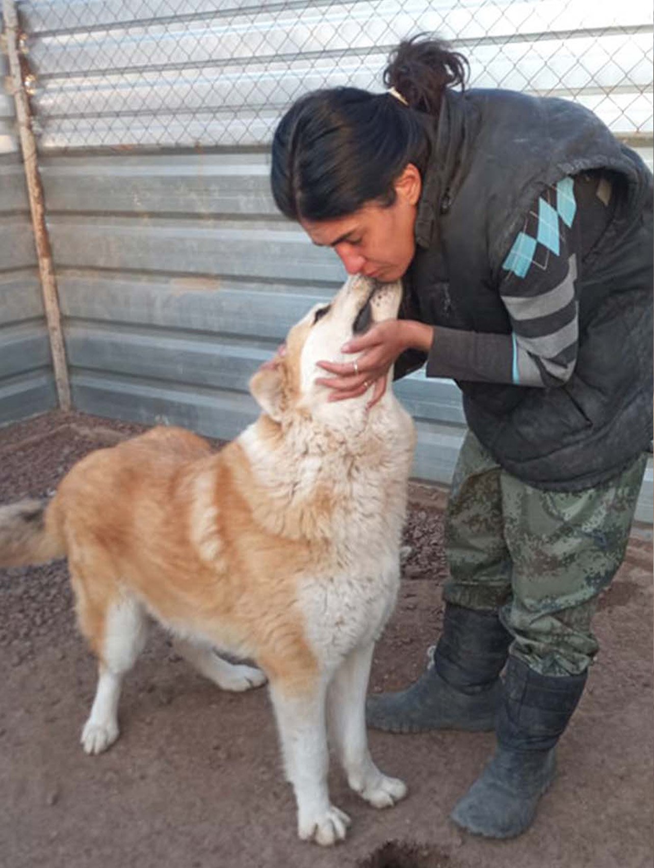 a woman playing with a friendly dog
